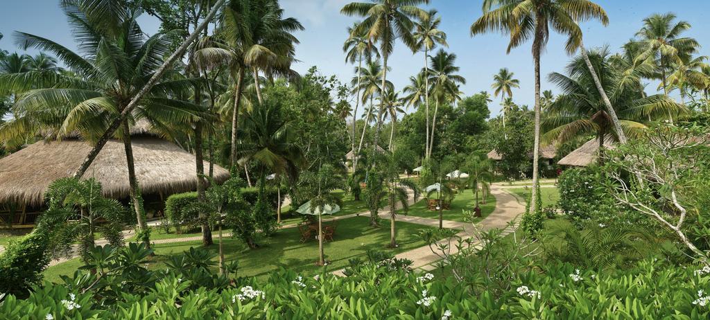 Carnoustie Ayurveda & Wellness Resort Alappuzha Εξωτερικό φωτογραφία